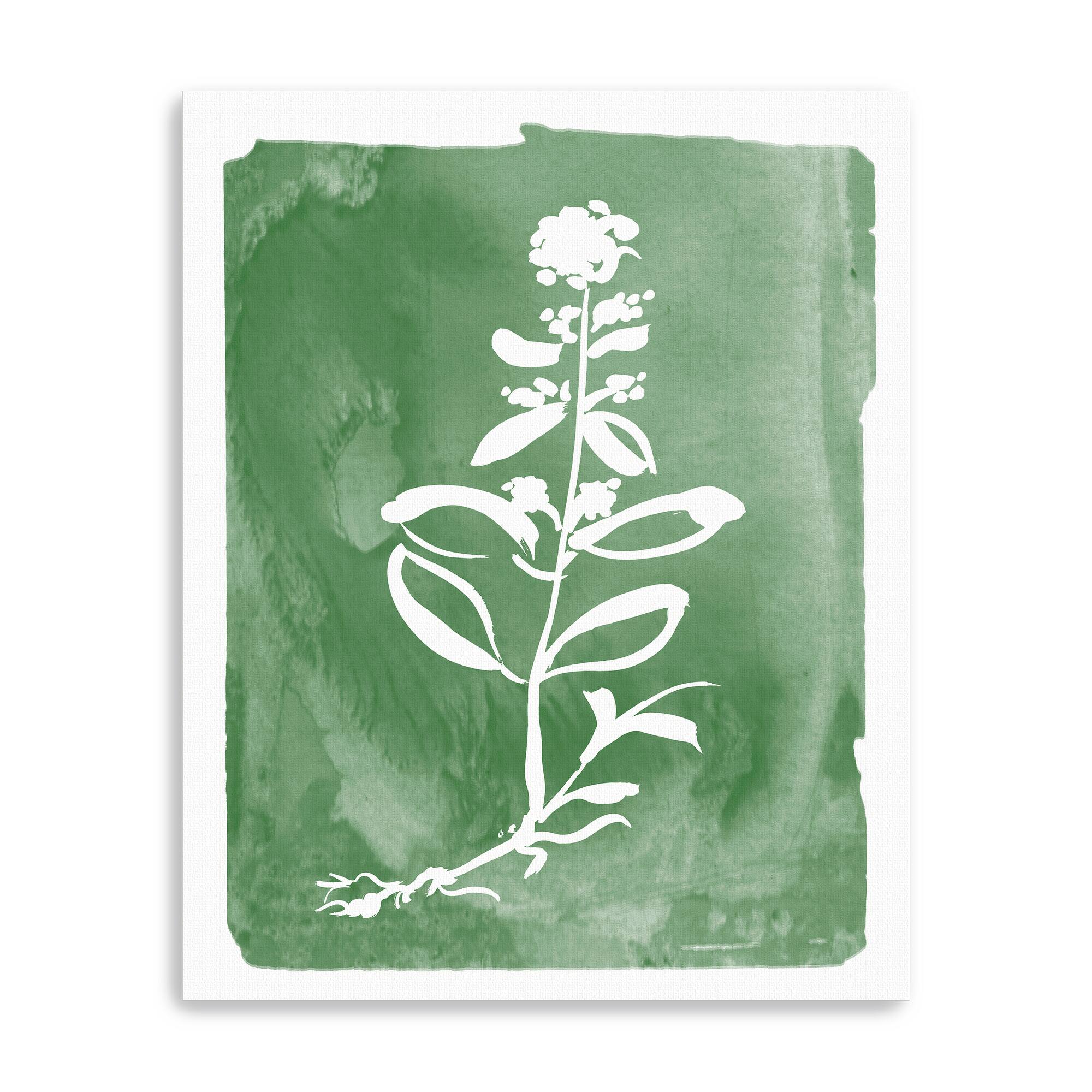 Green Botanical III Canvas Giclee